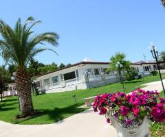 pubblicazioni matrimonio civile cecina