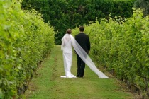 Ricevimento di matrimonio in un vitigno organizzato da Matrimonio diVino