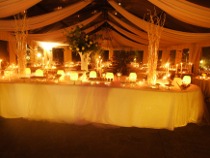 Bancone illuminato per il buffet di nozze - ELE light