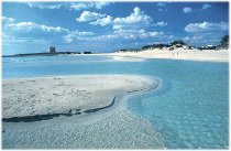 Sposarsi in Salento Sposarsi in Salento
