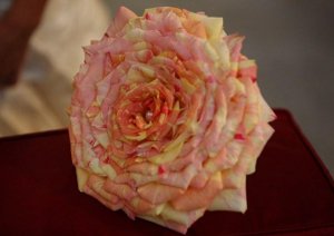 Bouquet monofiore con perla al centro - Le Creazioni Artistiche il Tulipano