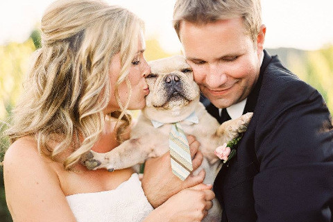 Gli sposi con il loro cagnolino durante il matrimonio
