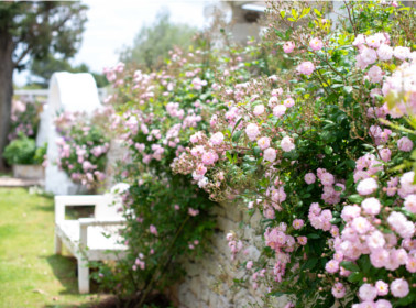 matrimonio country giardini rose