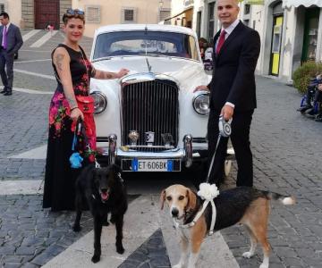 Le Cat & Dog Sitter Roma
