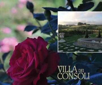 Villa dei Consoli / Borgo dell'Angiolo Eventi