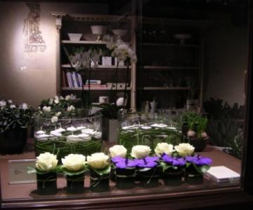 Dianthus Flower Store