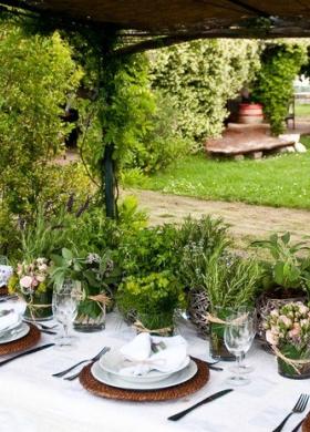 Allestimento country con piante per il tavolo di matrimonio