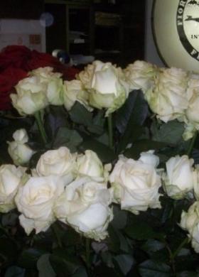 Addobbi di rose bianche per il matrimonio