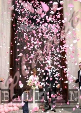 Effetto cascata di petali di rose per l'uscita degli sposi dalla chiesa