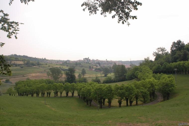 Viale di accesso alla Tenuta