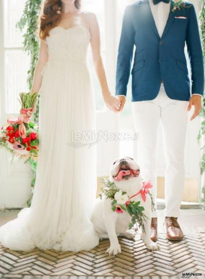 Pet Sister - Servizi di dog sitter per il tuo matrimonio