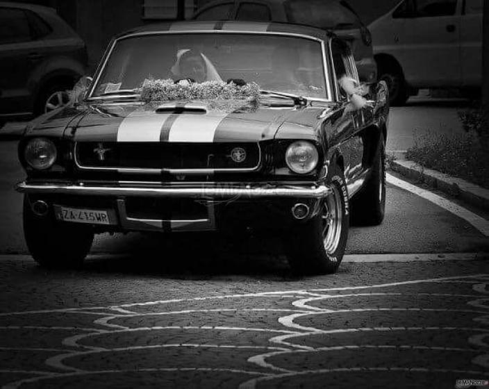 Dany auto Albani - Mustang fastback v8 1965