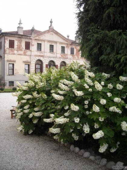 Viale d'ingresso e giardino della villa - Villa Da Porto Slaviero