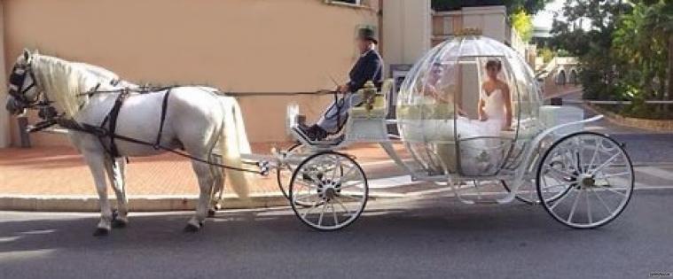 Nozze da favola - Il matrimonio in carrozza a Reggio Emilia