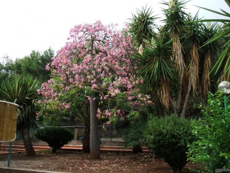 L'incantevole giardino dell'Hotel Azzolini