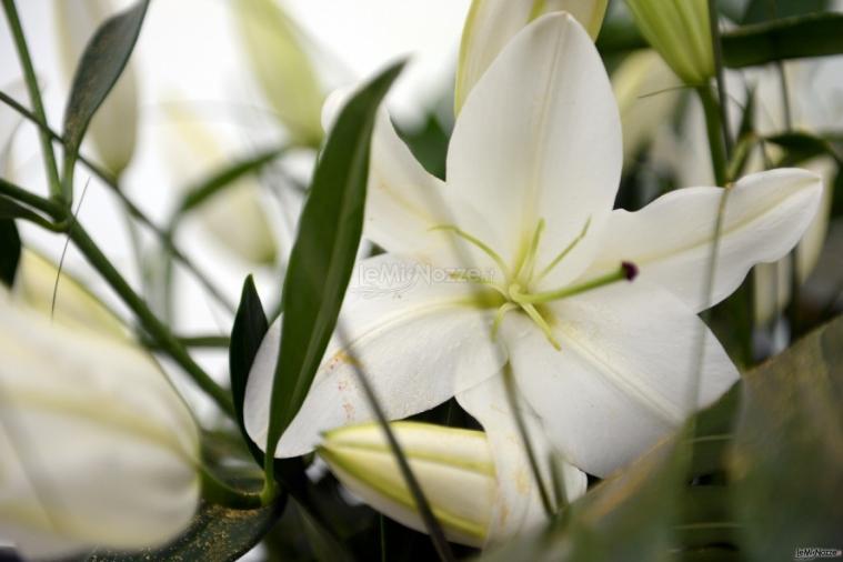 Splendidi gigli bianchi e polvere dorata