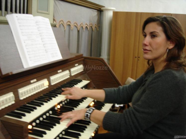 Organo solo - Armonia F.lli Siano