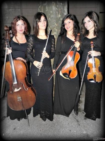 Moody Quartet - Quartetto musicale per matrimoni