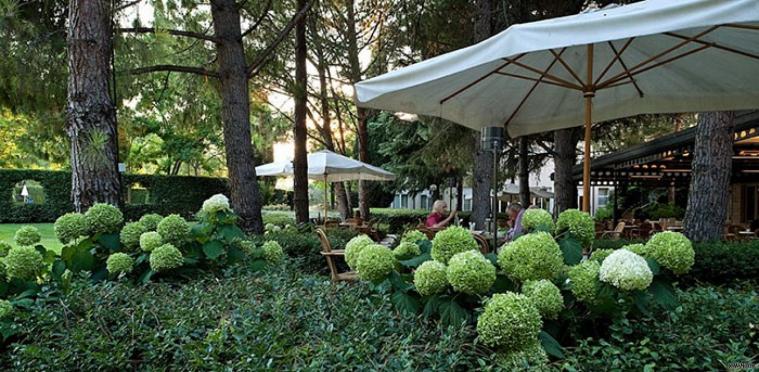 Ricevimento di matrimonio nel giardino dell'hotel