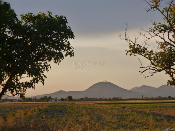 Vista sui Colli Euganei