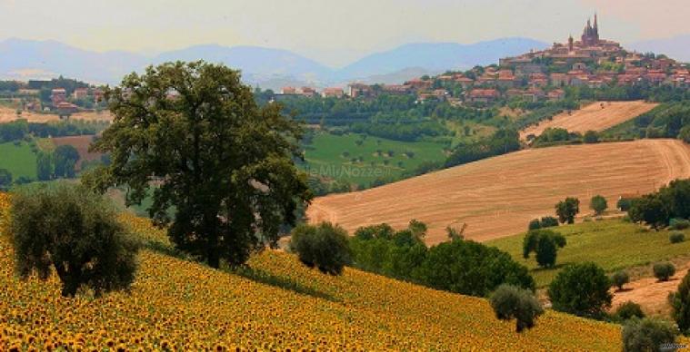 Panorama - La Monteduccia