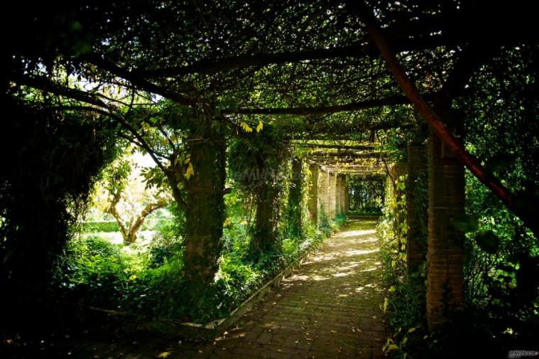 Porticato di rose del giardino della villa - AZETA Foto