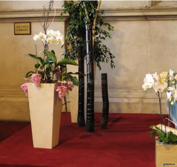 Orchidee in vaso per il matrimonio