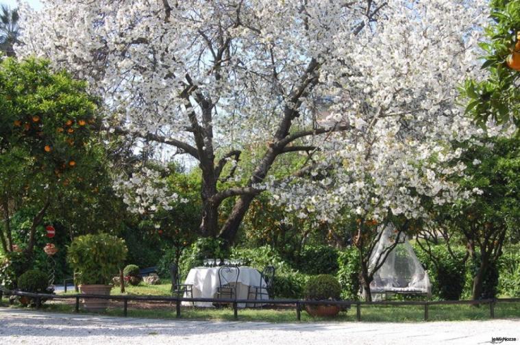 La Terra degli Aranci - Giardino della location di nozze