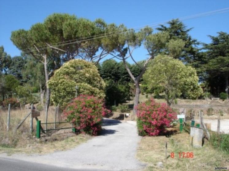 Viale di ingresso al Casale per le nozze