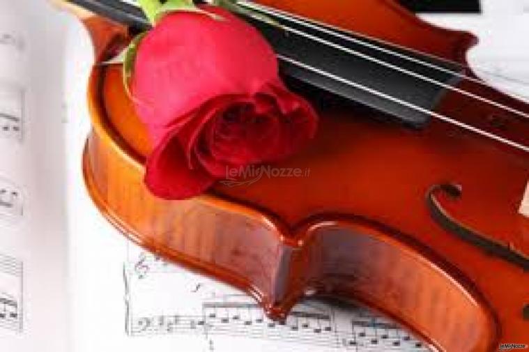 Violino - La vostra musica