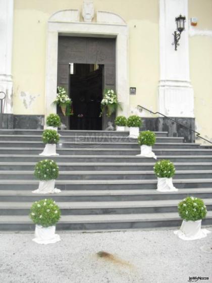 Addobbi con alberelli bassi verdi per l'esterno della chiesa