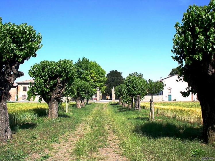 Grazioso viale che conduce al Castello di Zena