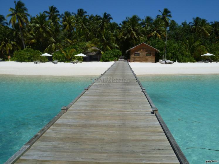 Maldive