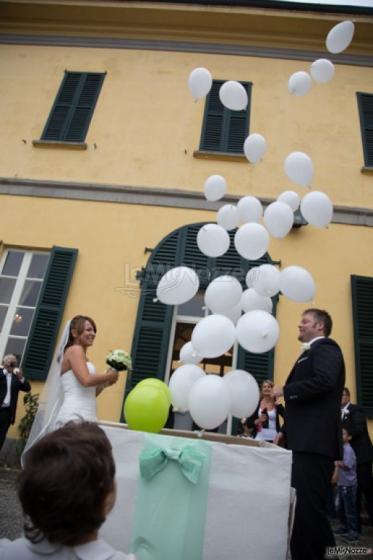 Le Feste di Mirtillo - Baule di palloncini e wedding planner