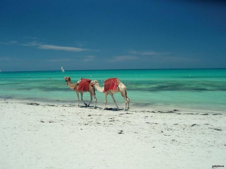 Tunisia: viaggio di nozze di mare e relax con Teocle Viaggi