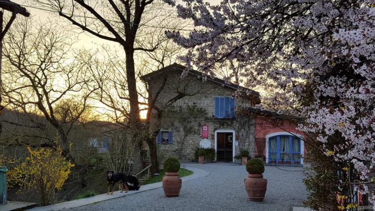 Agriturismo il Melo Rosso - Vista della location