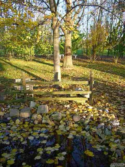 I colori dell'autunno, il parco