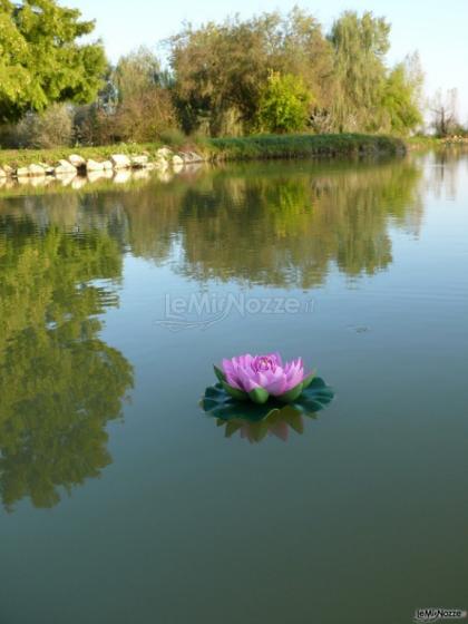 Villa Fiori di Loto - Lago della location