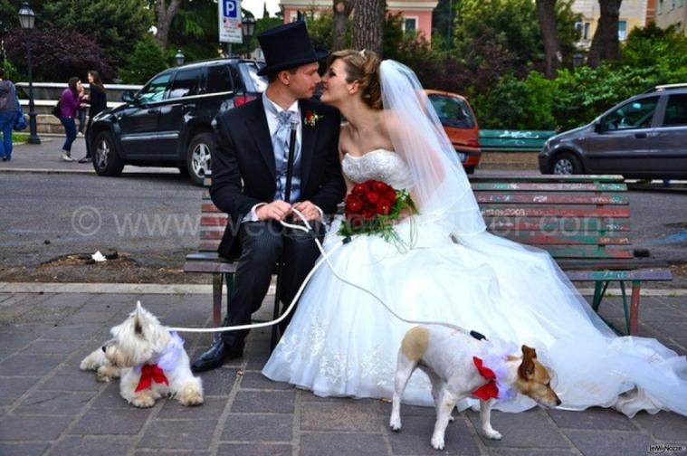 Servizio di Wedding Dog Sitter