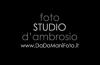Domenico D'Ambrosio Studio