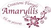 Amaryllis creazioni floreali