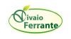 Vivaio Ferrante