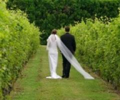 Matrimonio diVino: le tue nozze originali a tema vino