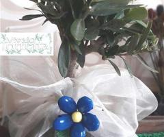 Bomboniera Ulivo in organza con confetti blu Lucca