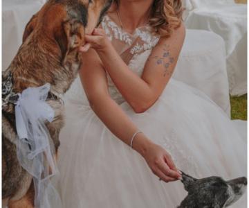 Canaglie da Matrimonio - Le tue Wedding Dog Sisters!