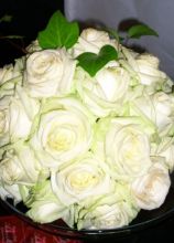 Bouquet di rose bianche per la sposa