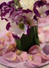 Centrotacola orchidee per il matrimonio