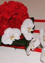Centrotavola con orchidee