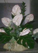 Composizione di anthurium per il matrimonio