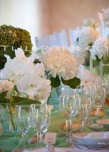 Phalaenopsis bianchi, ortensie verdi e tessuti per una tavola imperiale